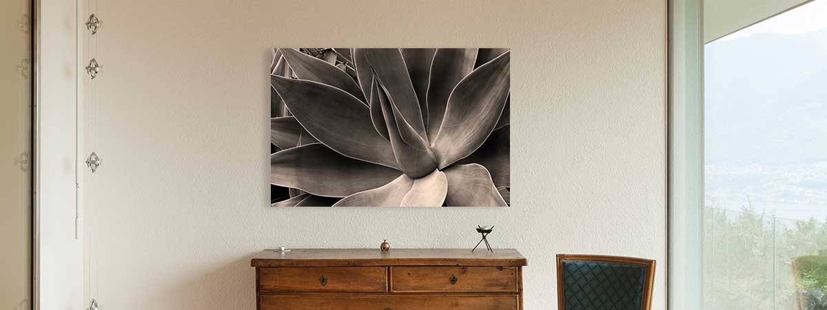Full Color Plant Photo Print