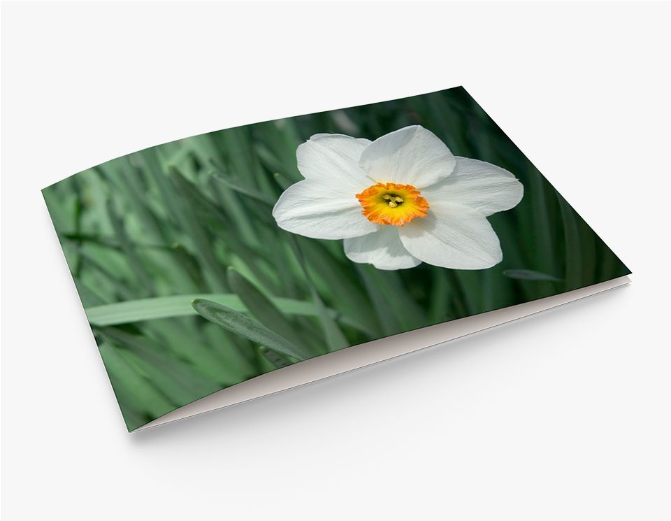 5x7 Single Fold Wide Format Greeting Card (12)