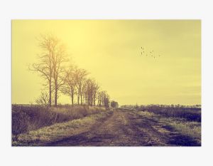 30x45 Fine Art Paper Print