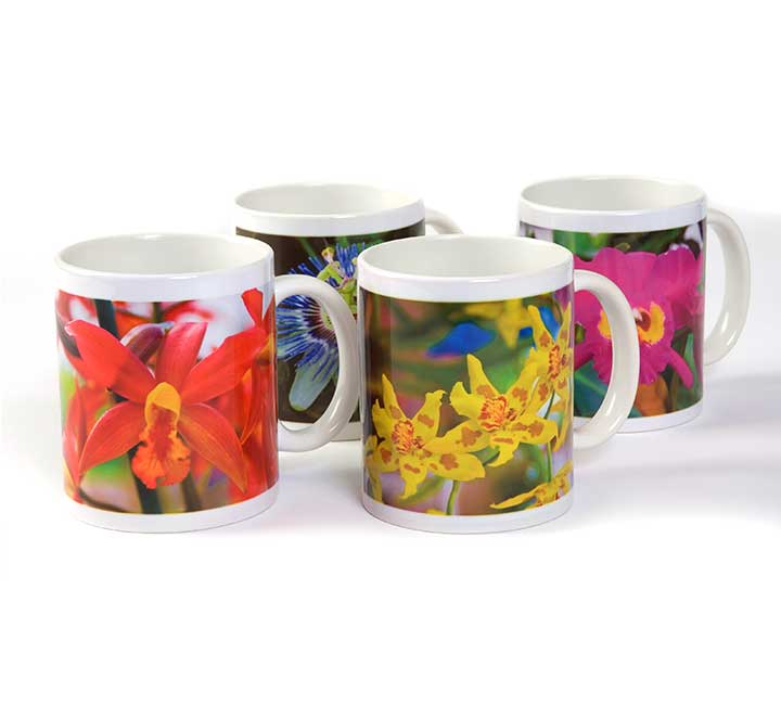 Full Color Drinkware