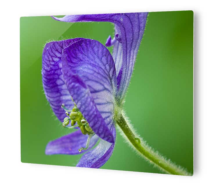 Full Color Square & Rectangle Metal Prints