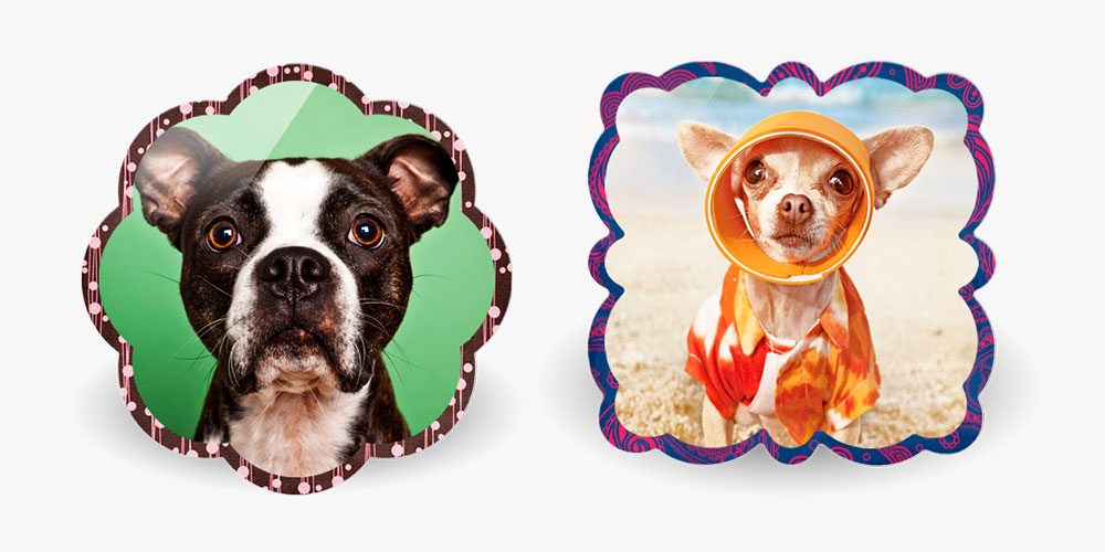 How to Create a Border on an Artistic Edge Metal Print